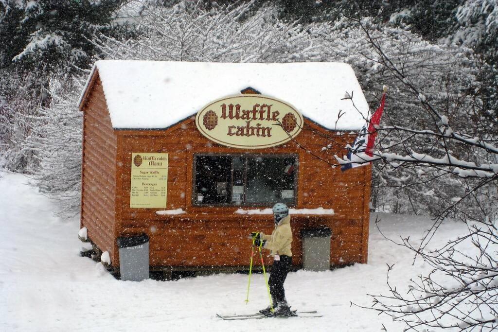 Skiing, Hiking, Village Of Eville Mtn Escape Ellicottville Exteriör bild